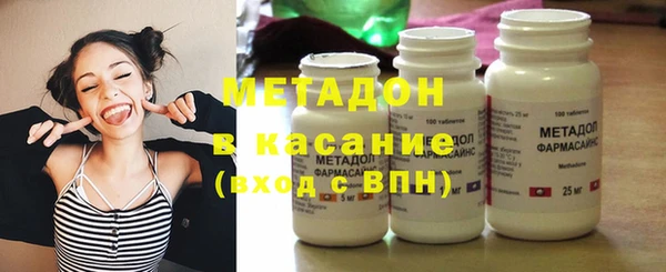 прущие грибы Осинники