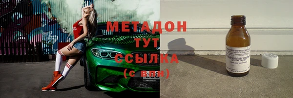прущие грибы Осинники