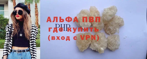 прущие грибы Осинники