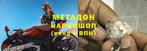 прущие грибы Осинники