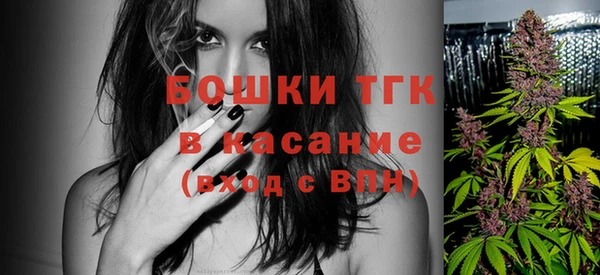 прущие грибы Осинники