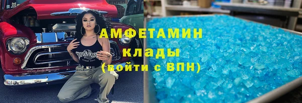прущие грибы Осинники