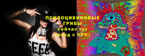 спиды Осташков