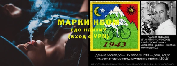 прущие грибы Осинники