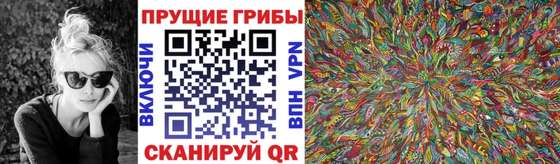 Галлюциногенные грибы Psilocybe Купить закладки Ухта